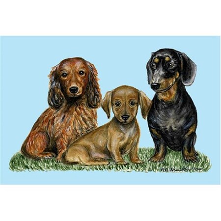 Betsy Drake Betsy Drake DM074G Dachshunds Door Mat 30"x50" DM074G